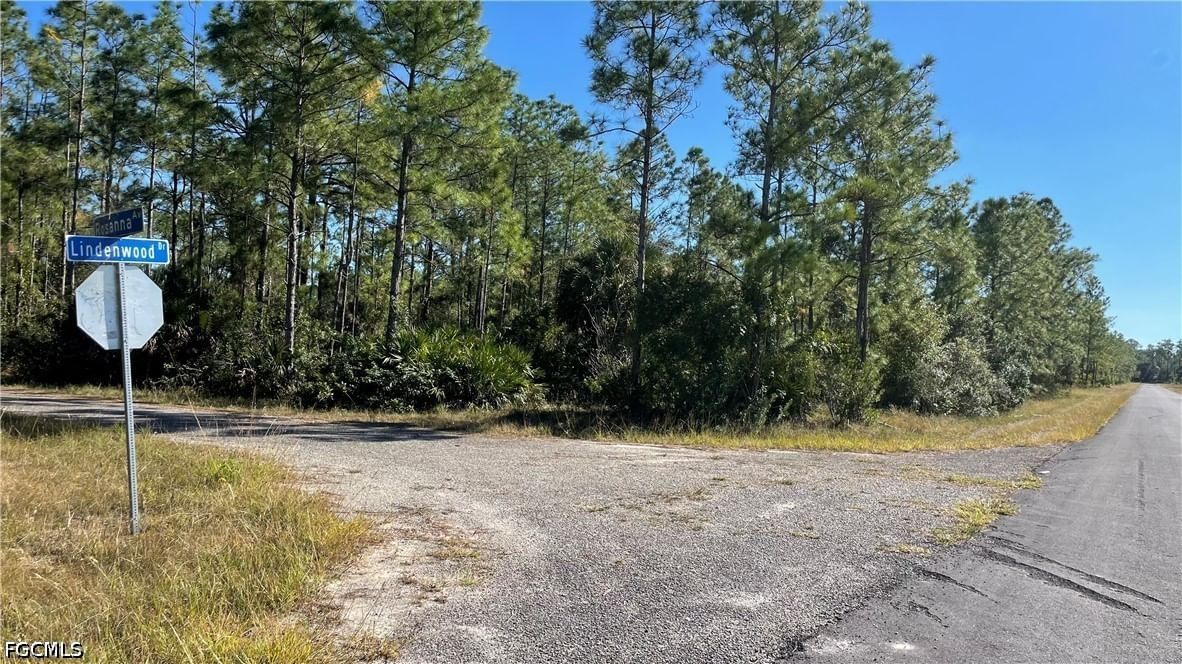 308 Rosanna Avenue, Lehigh Acres, FL 33972 photo 5