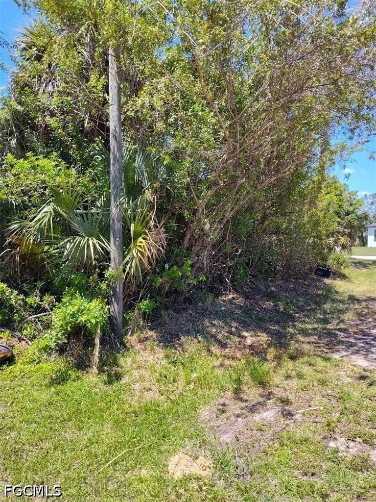 TBD Canoe Lane, North Port, FL 34286 photo 3