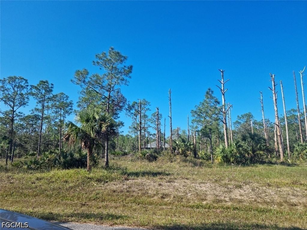 2309 Wellington Avenue, Alva, FL 33920 photo 2