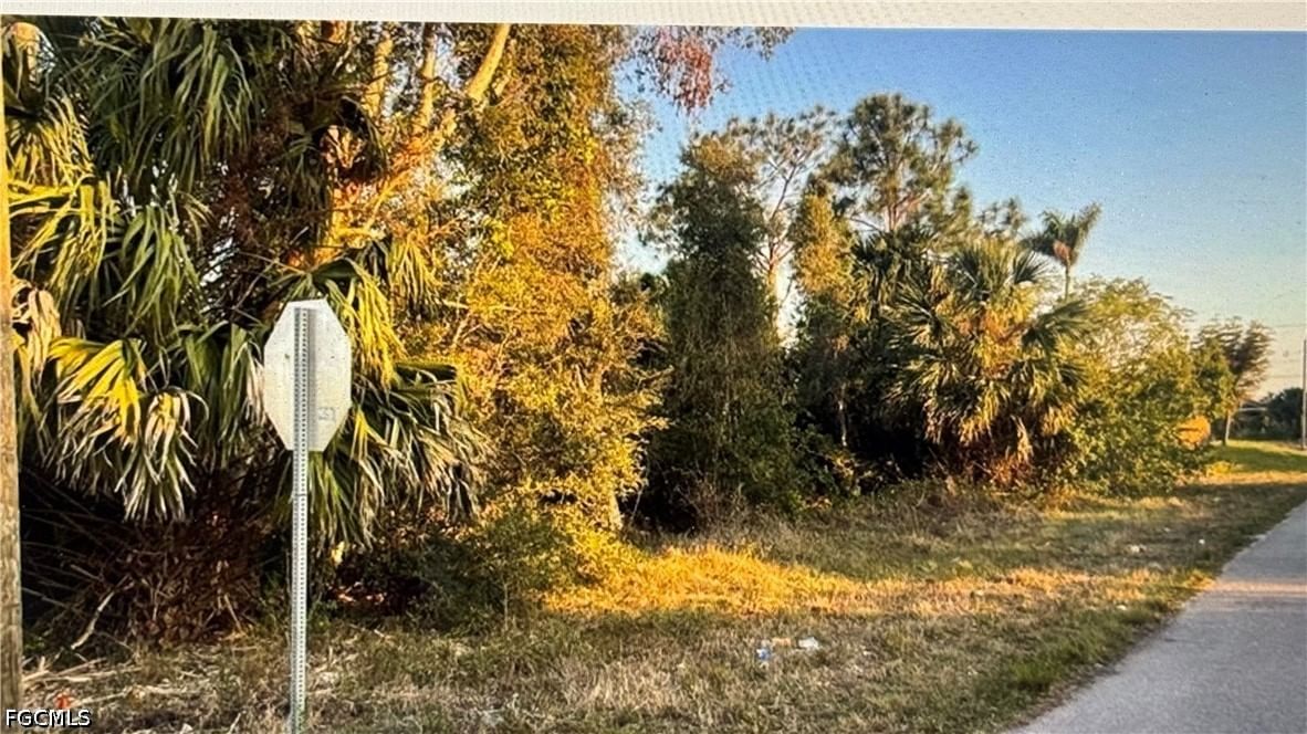 3515 27th Street SW, Lehigh Acres, FL 33976 photo 3