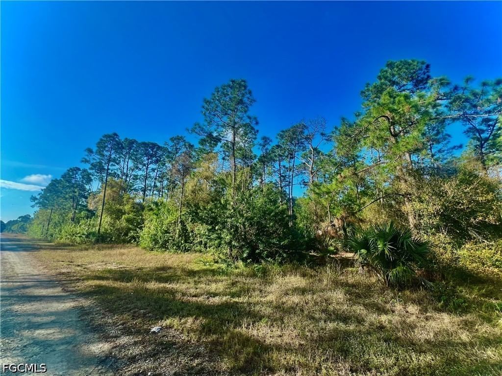 124 Nassau Avenue, Lehigh Acres, FL 33974 photo 2