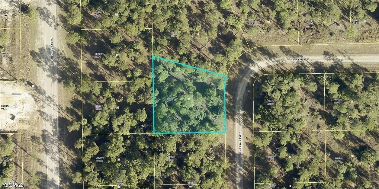 124 Nassau Avenue, Lehigh Acres, FL 33974 photo 4