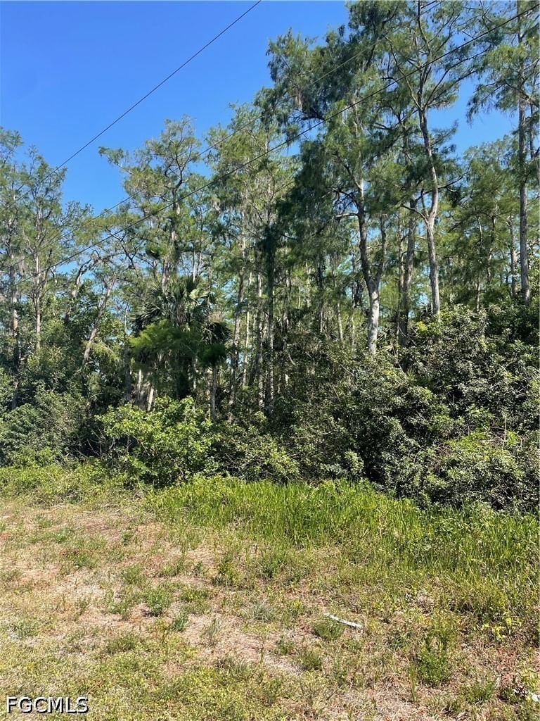 666 Knapp Street, Lehigh Acres, FL 33974 photo 2