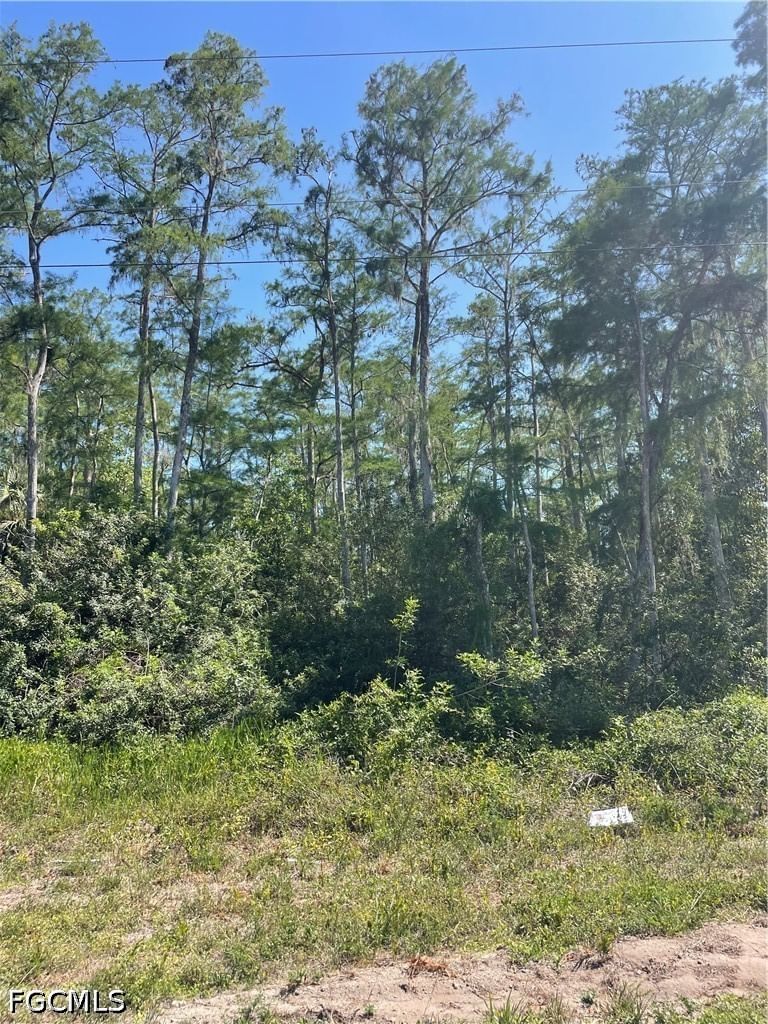 666 Knapp Street, Lehigh Acres, FL 33974 photo 3