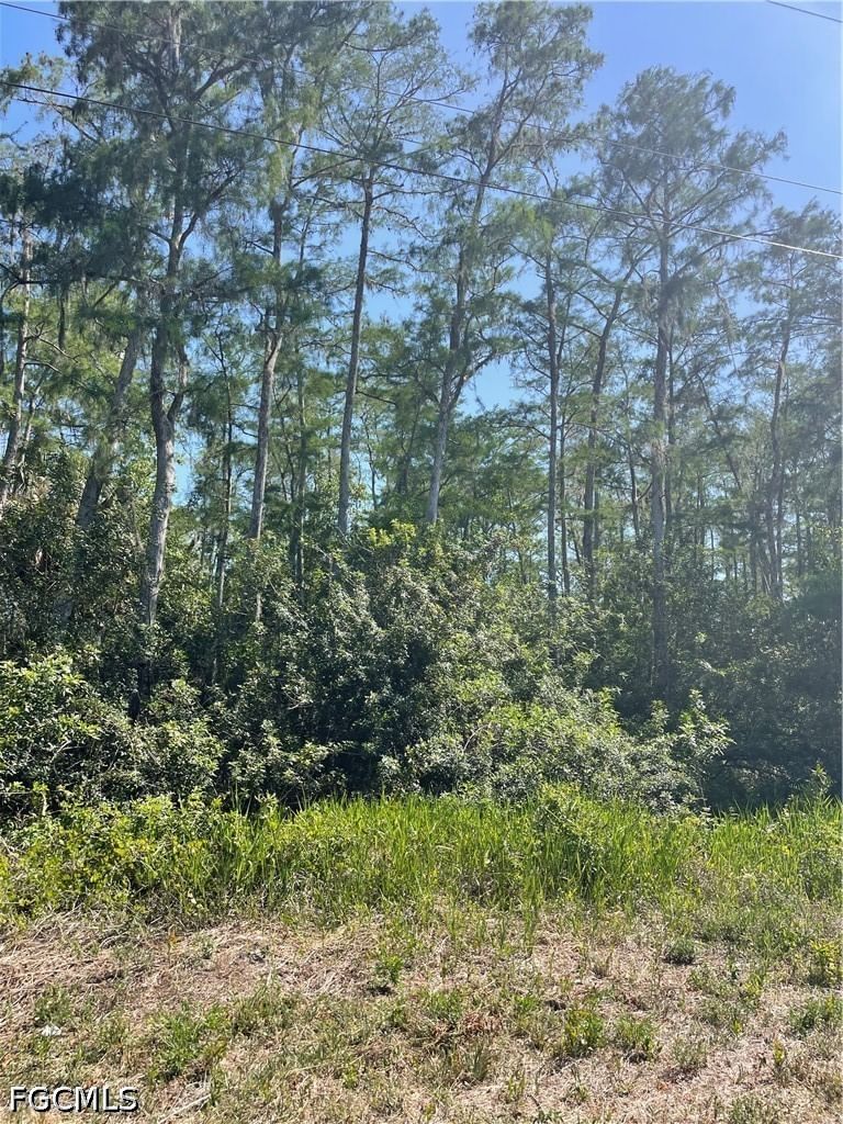 666 Knapp Street, Lehigh Acres, FL 33974 photo 4