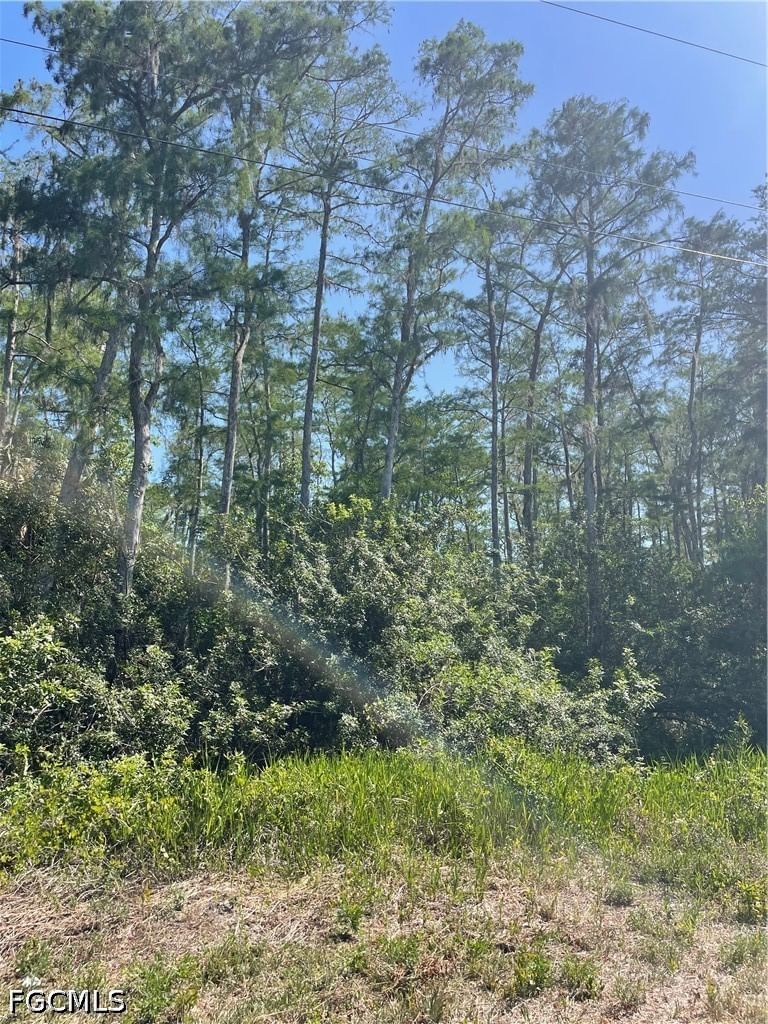 666 Knapp Street, Lehigh Acres, FL 33974 photo 5