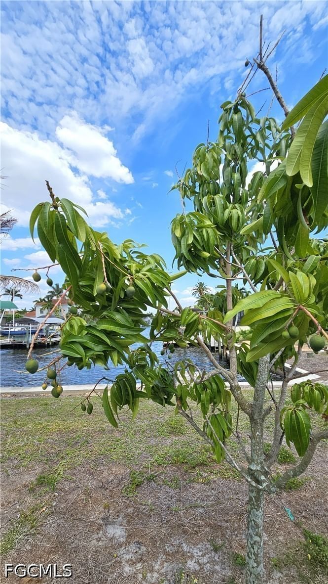 111 SW 58th Terrace, Cape Coral, FL 33914 photo 3