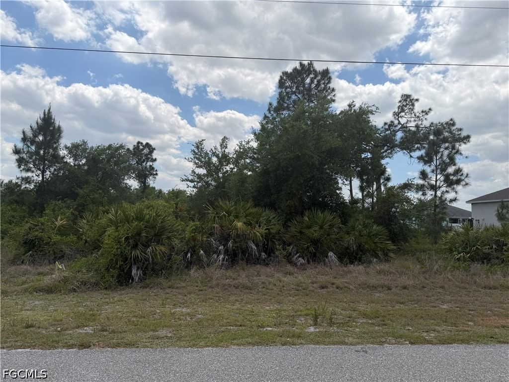 1247 Galileo Street E, Lehigh Acres, FL 33974 photo 2