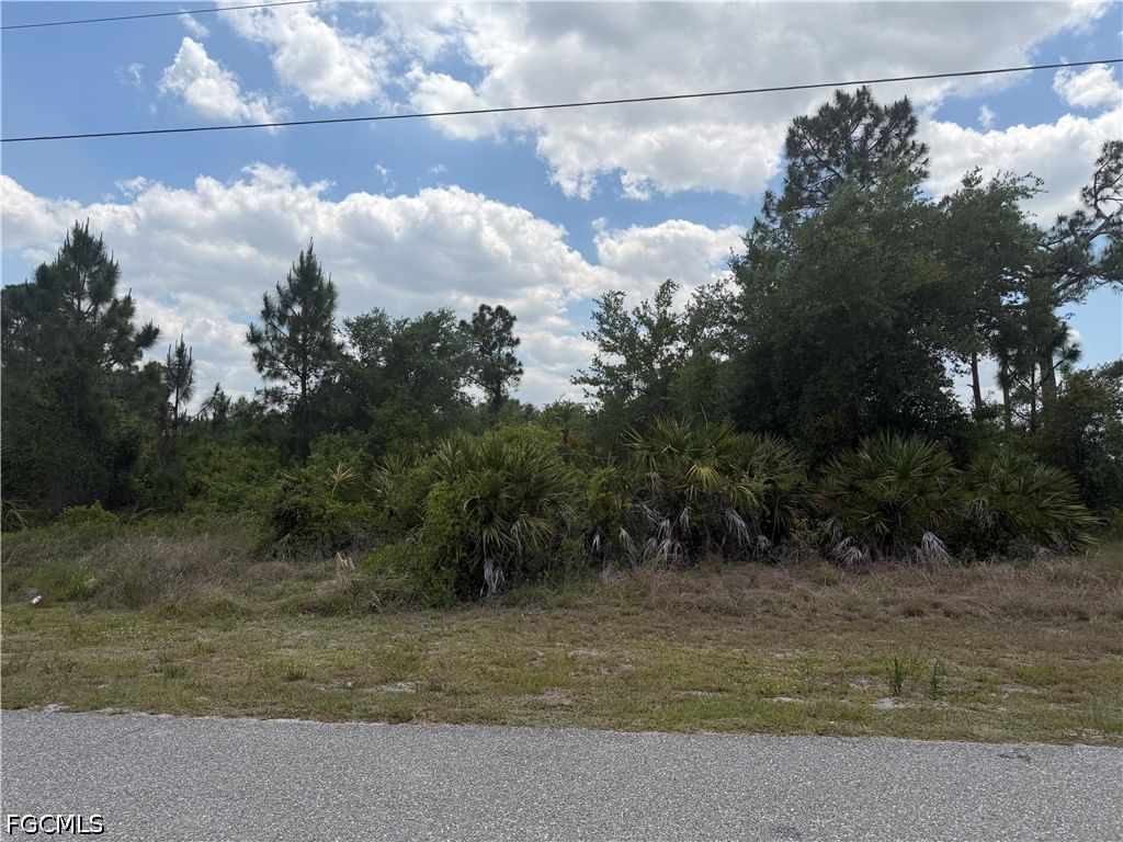 1247 Galileo Street E, Lehigh Acres, FL 33974 photo 3