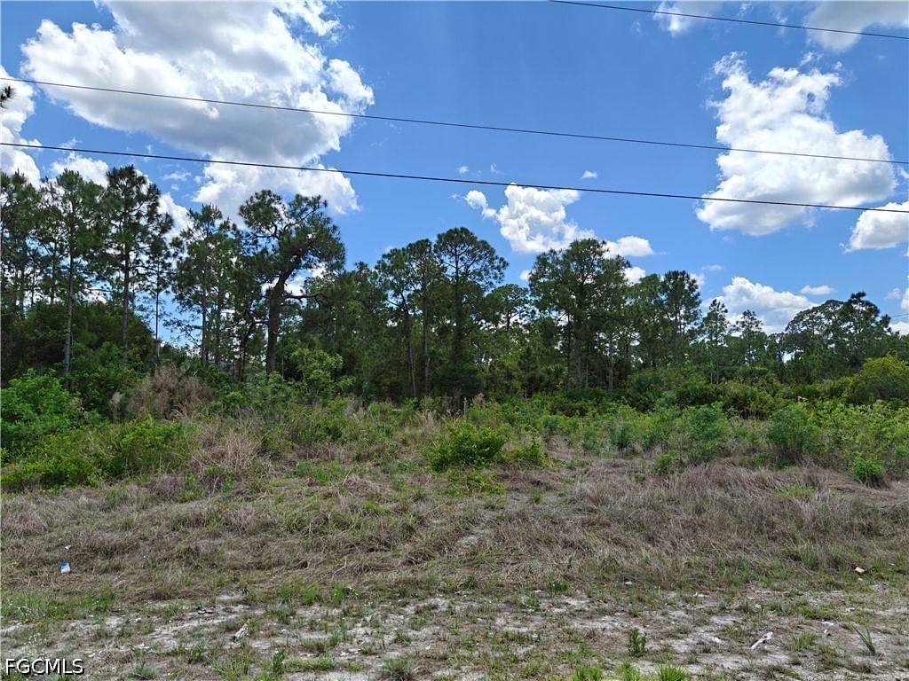 1824 Marlboro Lane, Lehigh Acres, FL 33972 photo 2