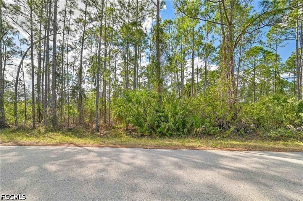2017 Grant Avenue, Alva, FL 33920 photo 3