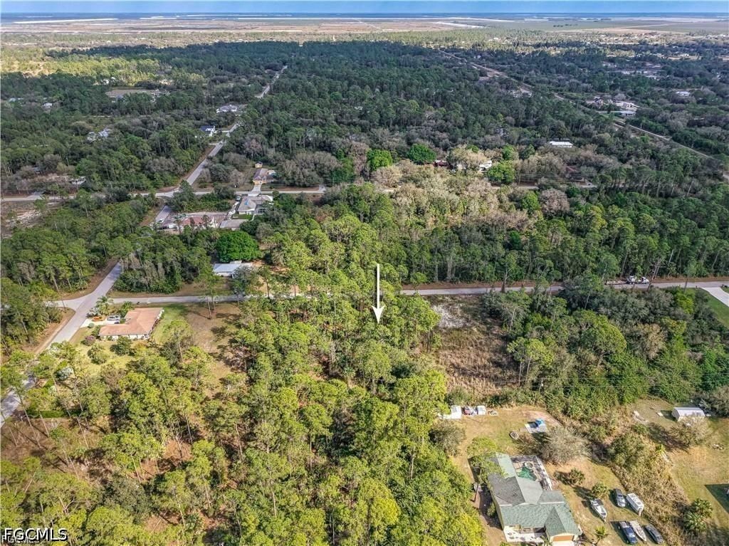 2017 Grant Avenue, Alva, FL 33920 photo 4