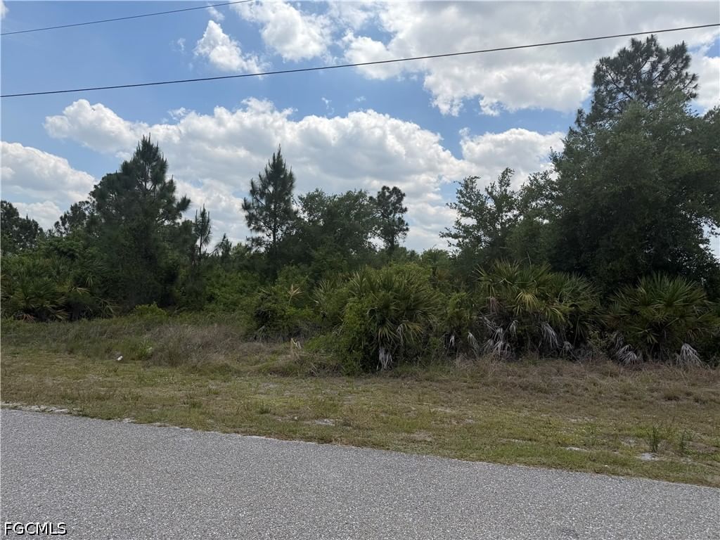 1249 Galileo Street E, Lehigh Acres, FL 33974 photo 3