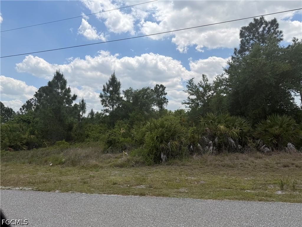 1249 Galileo Street E, Lehigh Acres, FL 33974 photo 4