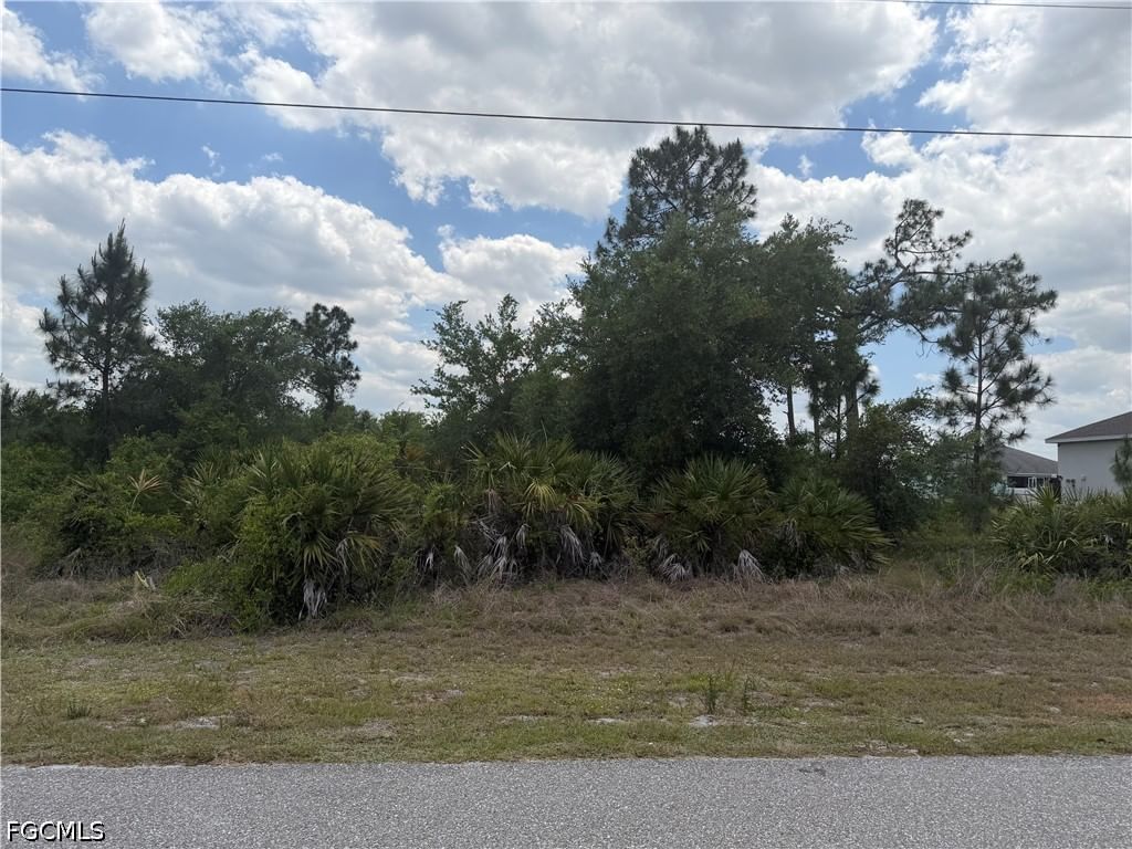 1249 Galileo Street E, Lehigh Acres, FL 33974 photo 5