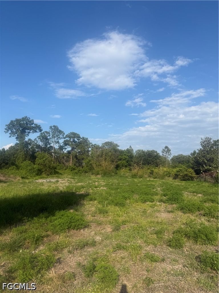 322 Wellington Avenue, Lehigh Acres, FL 33936 photo 3