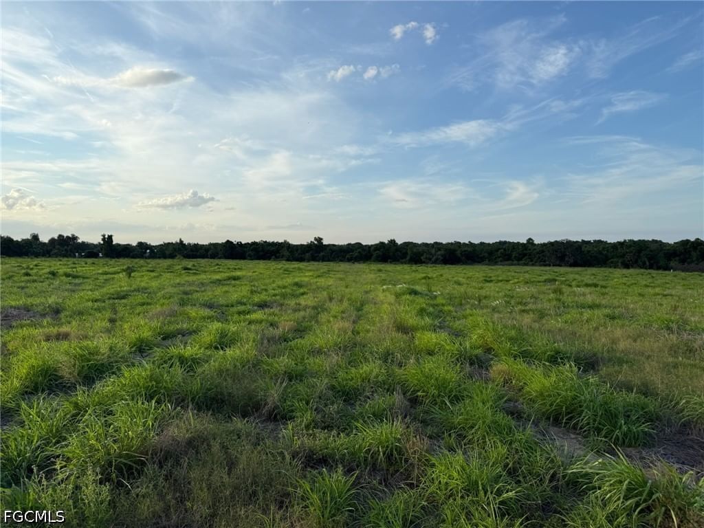 1445 S Florida Avenue, Wauchula, FL 33873 photo 2