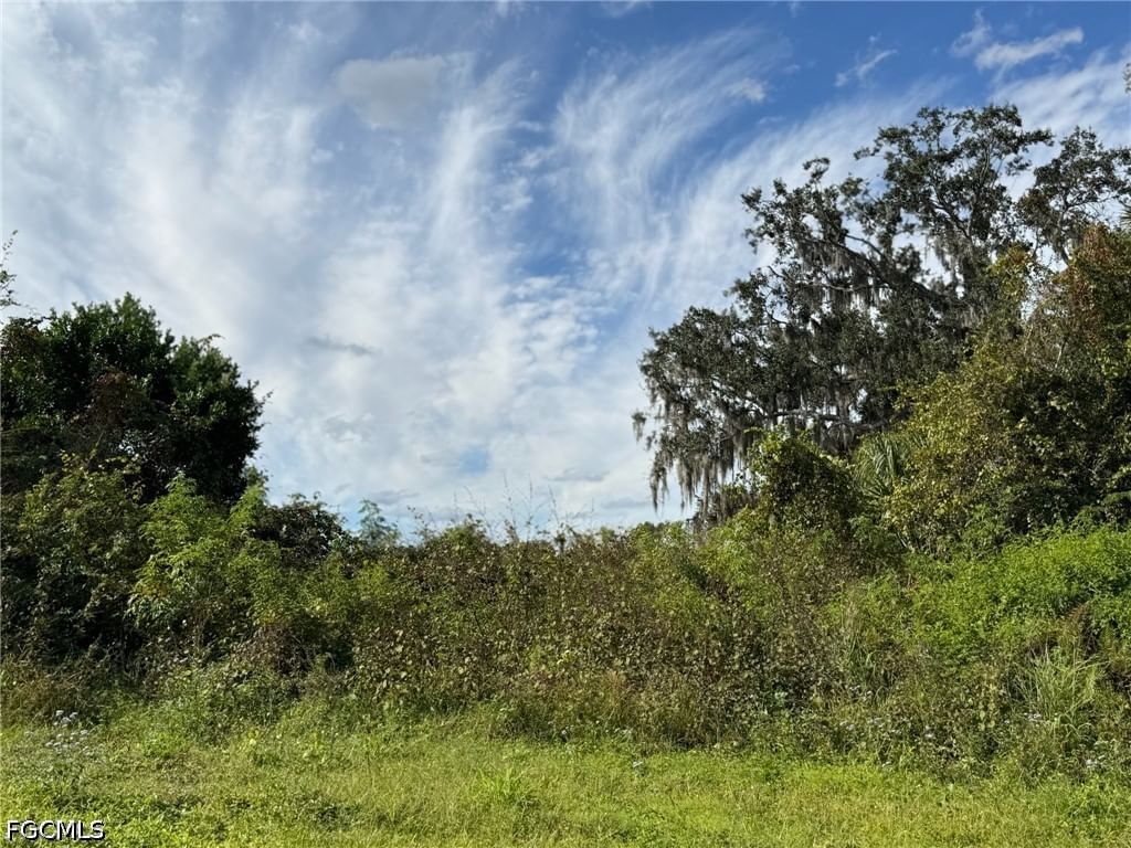 1445 S Florida Avenue, Wauchula, FL 33873 photo 3