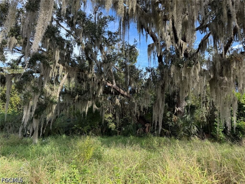 1445 S Florida Avenue, Wauchula, FL 33873 photo 4
