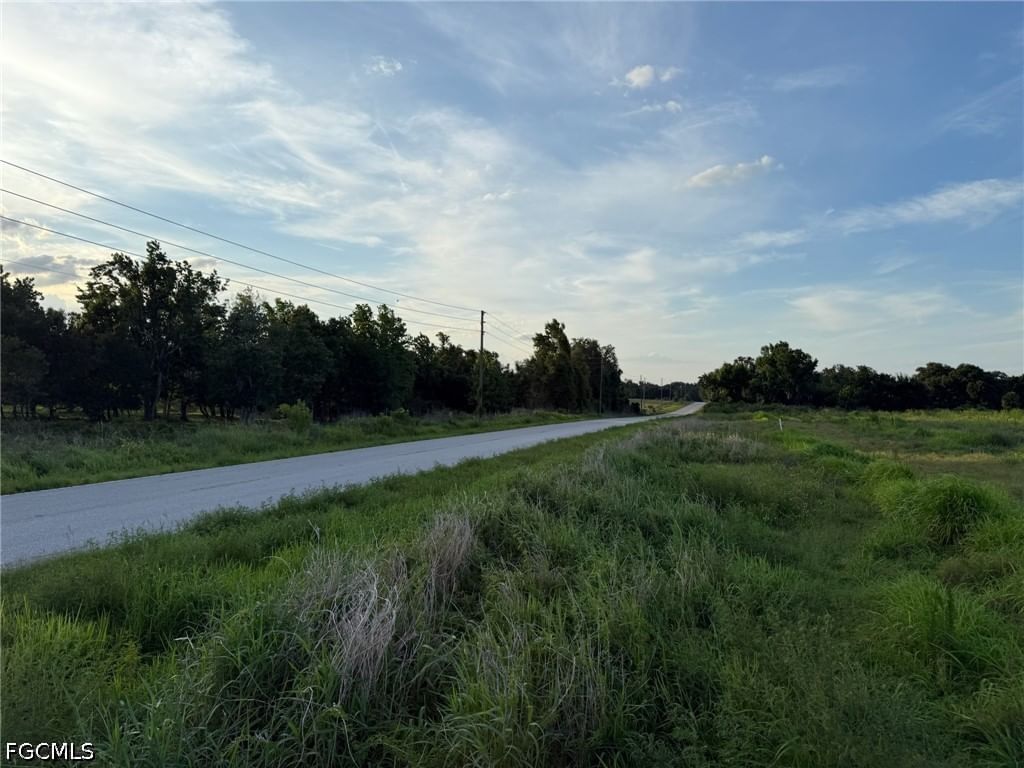 1445 S Florida Avenue, Wauchula, FL 33873 photo 5