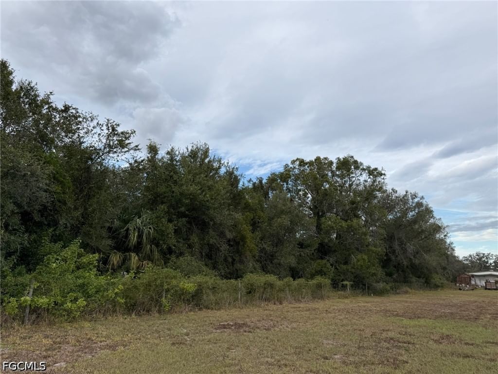 2597 NE Nat Avenue, Arcadia, FL 34266 photo 4