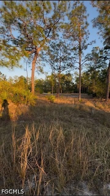 914 GRANT Avenue, Lehigh Acres, FL 33972 photo 4
