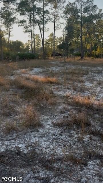 914 GRANT Avenue, Lehigh Acres, FL 33972 photo 5