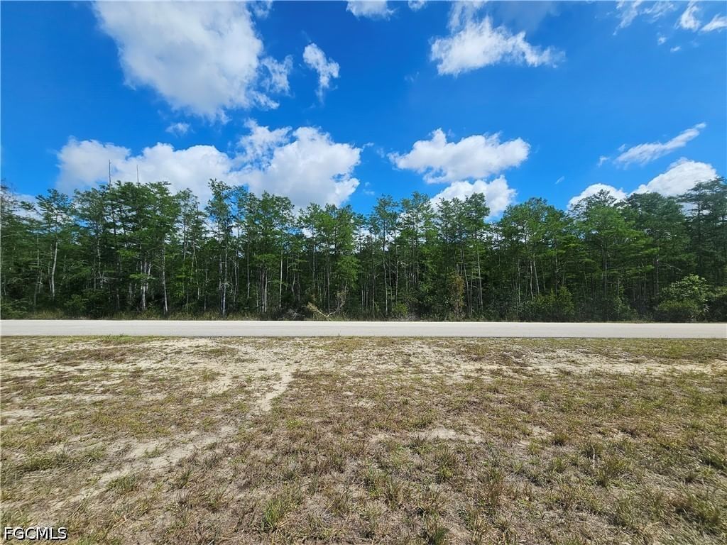 443 Greenbriar Boulevard, Lehigh Acres, FL 33972 photo 4