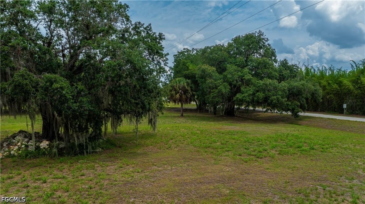 75 Ft Denaud Bridge Way, Labelle, FL 33935 photo 3