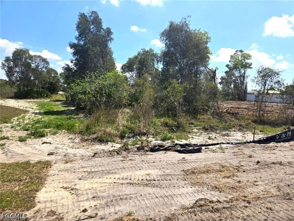 811 Bell Boulevard S, Lehigh Acres, FL 33974 photo 3