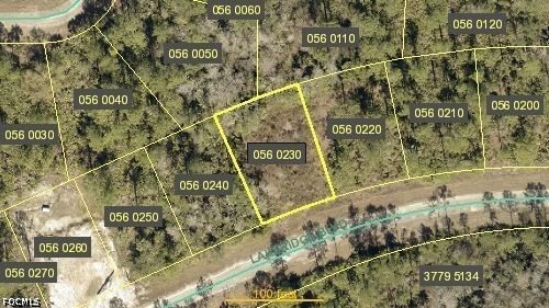 412 Lakeridge Boulevard, Lehigh Acres, FL 33972 photo 2