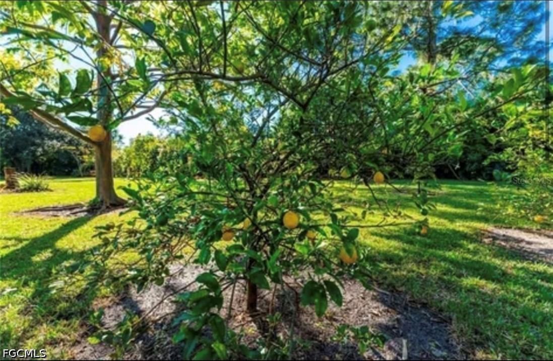 25271 Roland Lane, Punta Gorda, FL 33955 photo 2