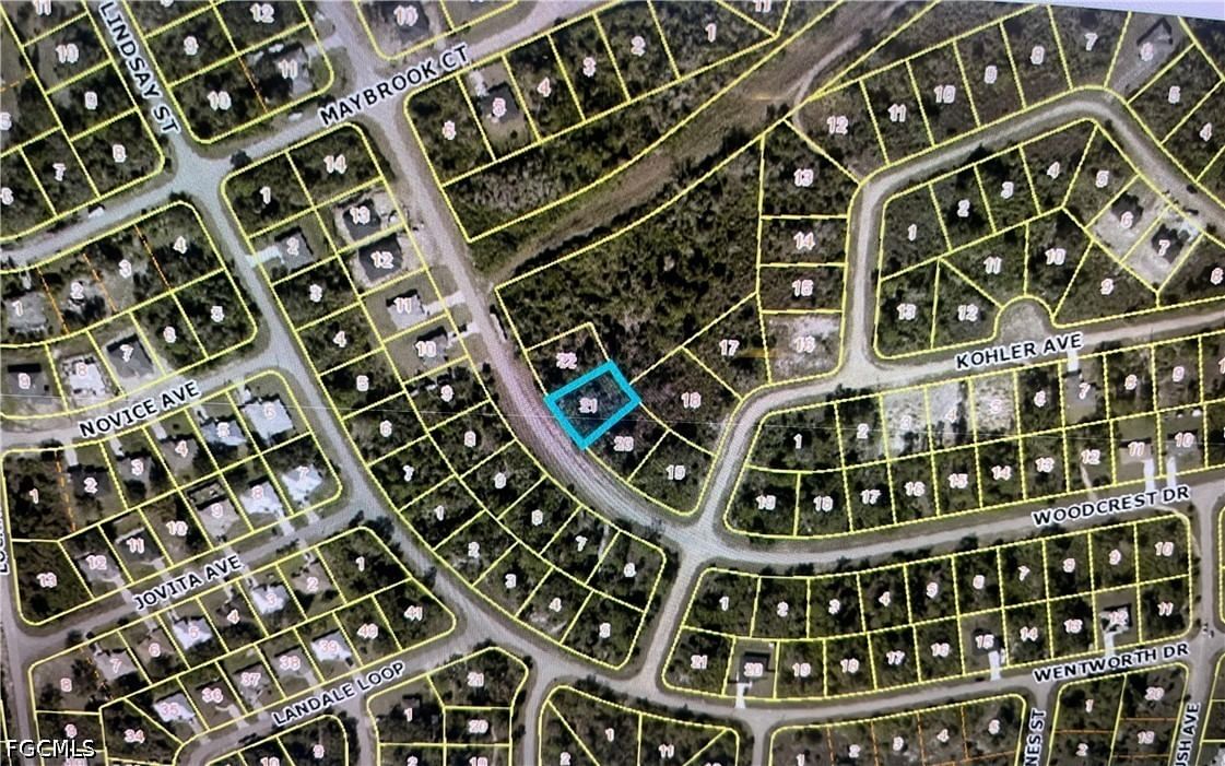 730 Woodcrest Drive, Lehigh Acres, FL 33972 photo 2