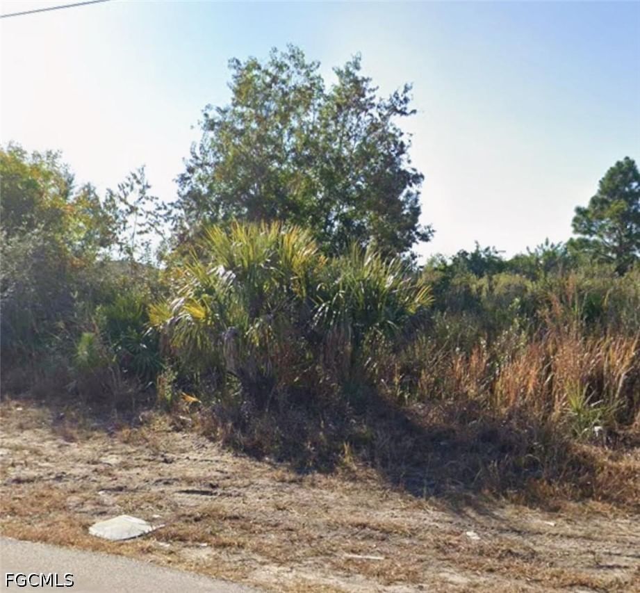 3009 26th Street W, Lehigh Acres, FL 33971 photo 2