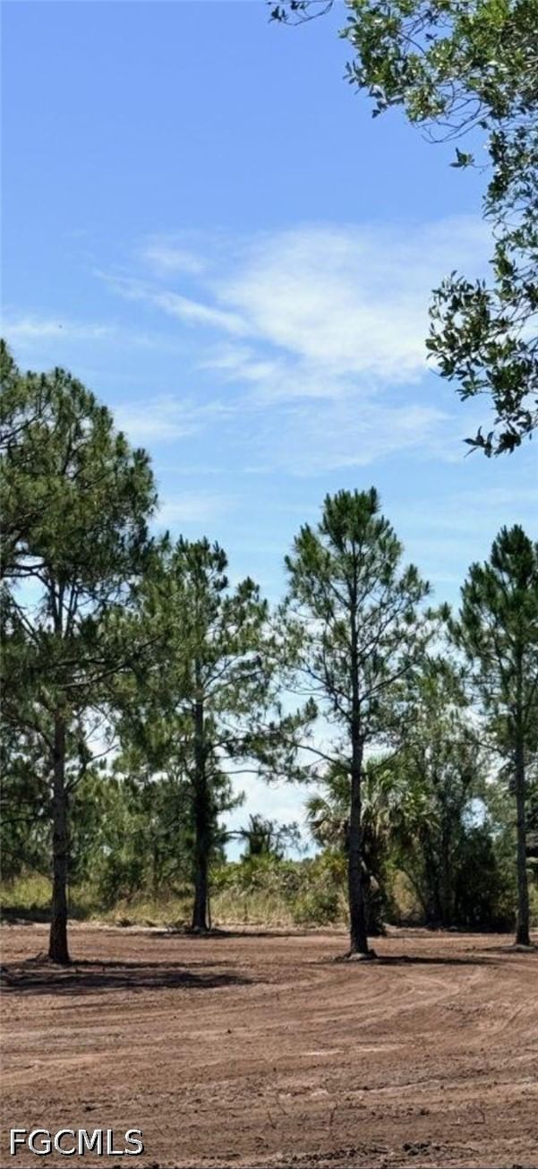 17926 250 Street NW, Okeechobee, FL 34972 photo 4