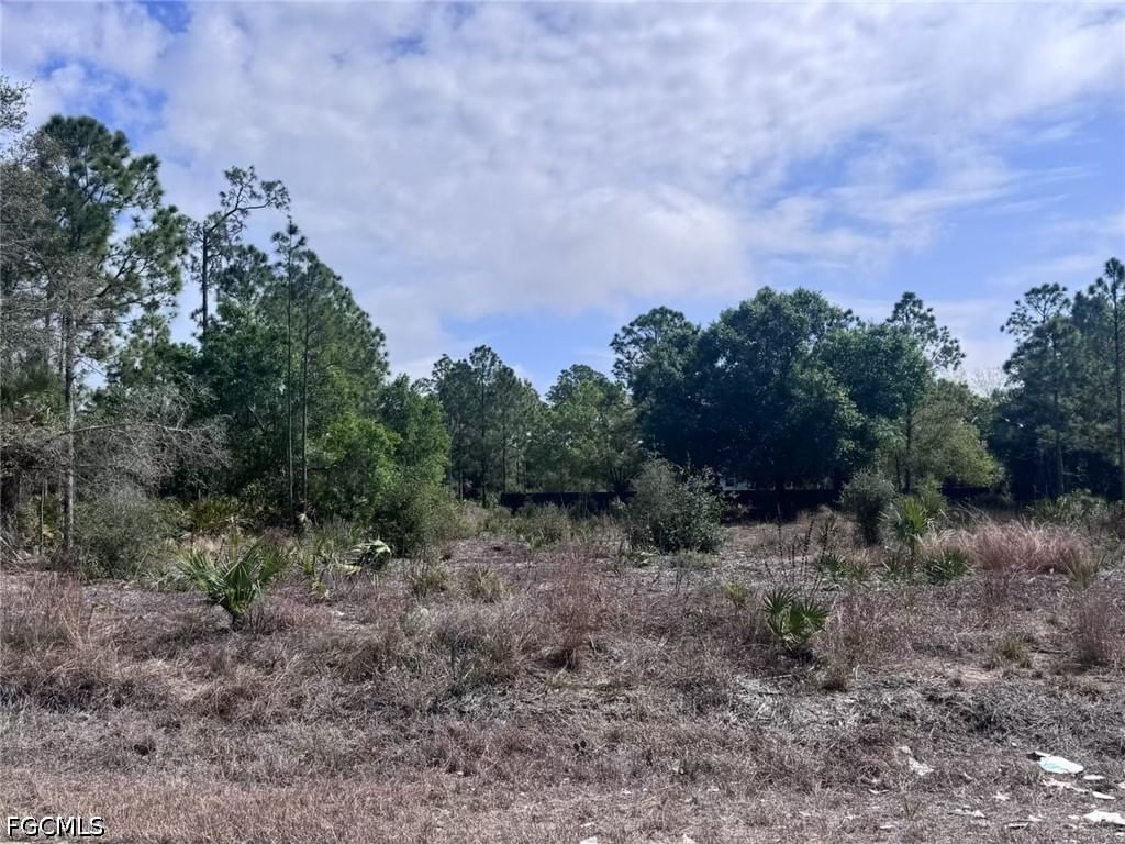 618 Leroy Avenue, Lehigh Acres, FL 33972 photo 2