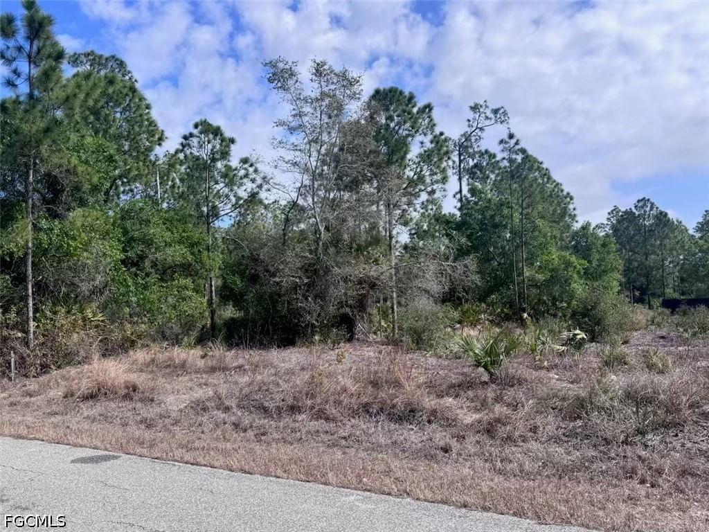 618 Leroy Avenue, Lehigh Acres, FL 33972 photo 3