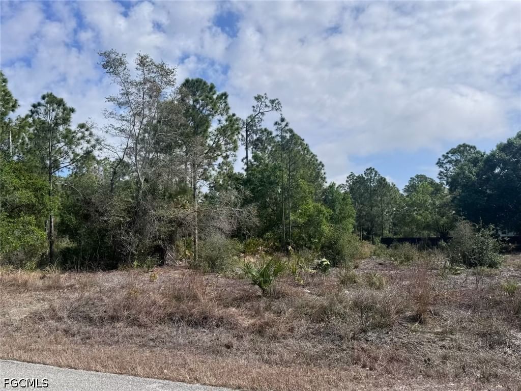 618 Leroy Avenue, Lehigh Acres, FL 33972 photo 4