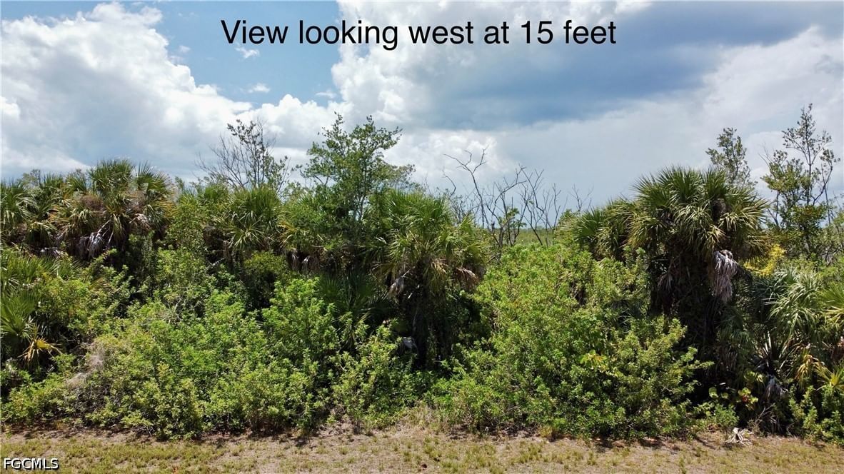 16721 San Edmundo Road, Punta Gorda, FL 33955 photo 4