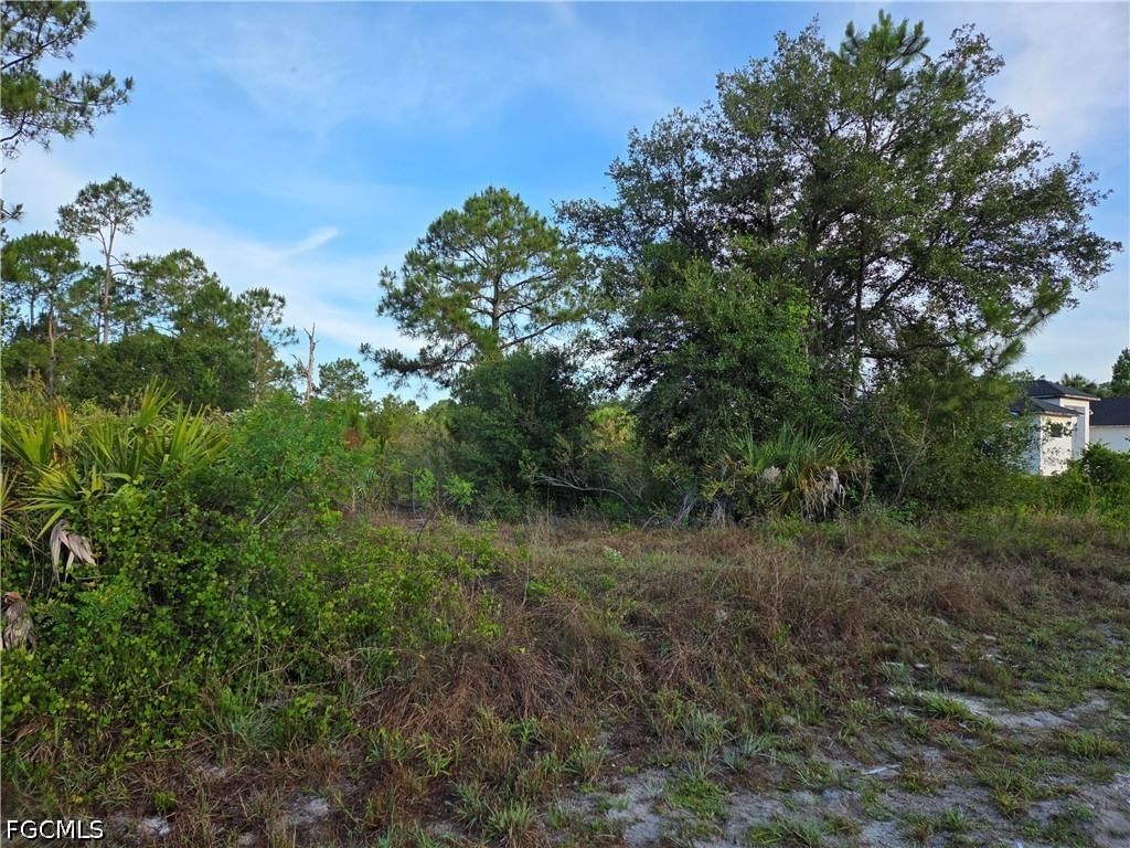 615 Johns Avenue, Lehigh Acres, FL 33972 photo 3