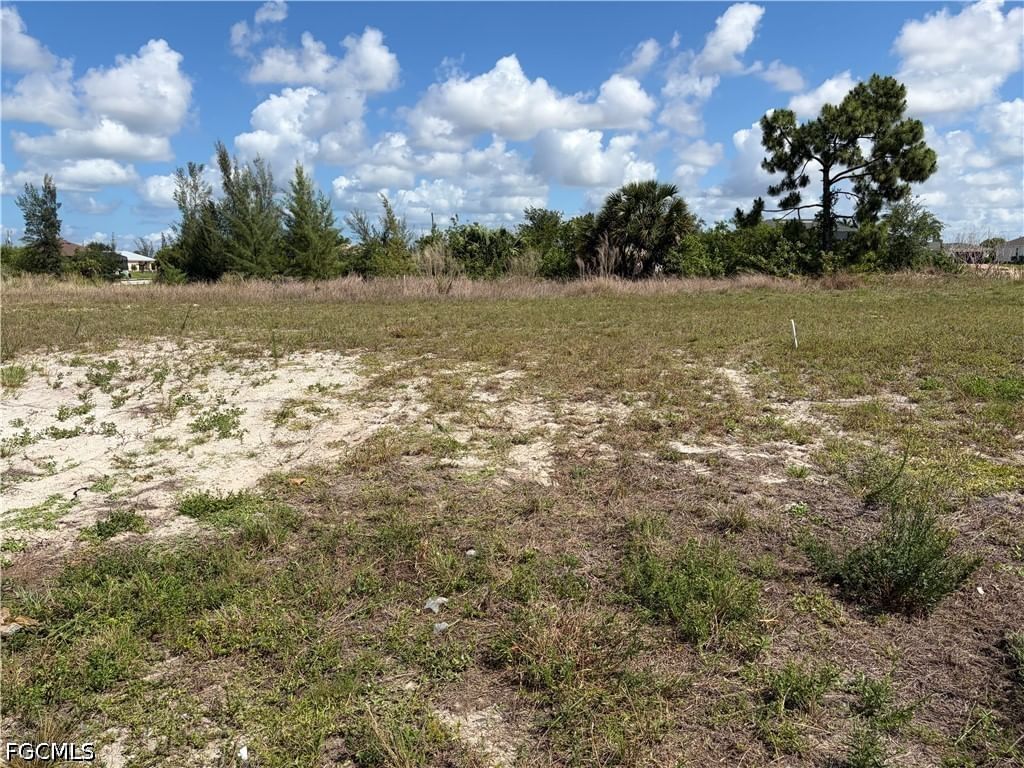 2011 NW 17th Street, Cape Coral, FL 33993 photo 5