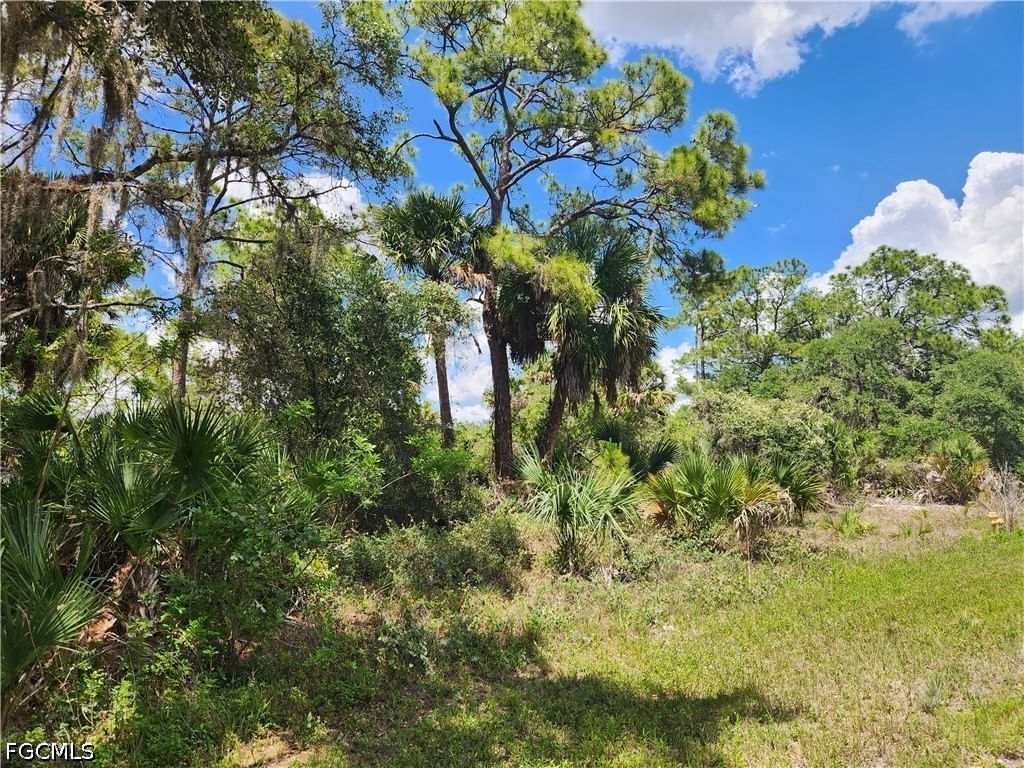 636 Nassau Circle, Labelle, FL 33935 photo 2