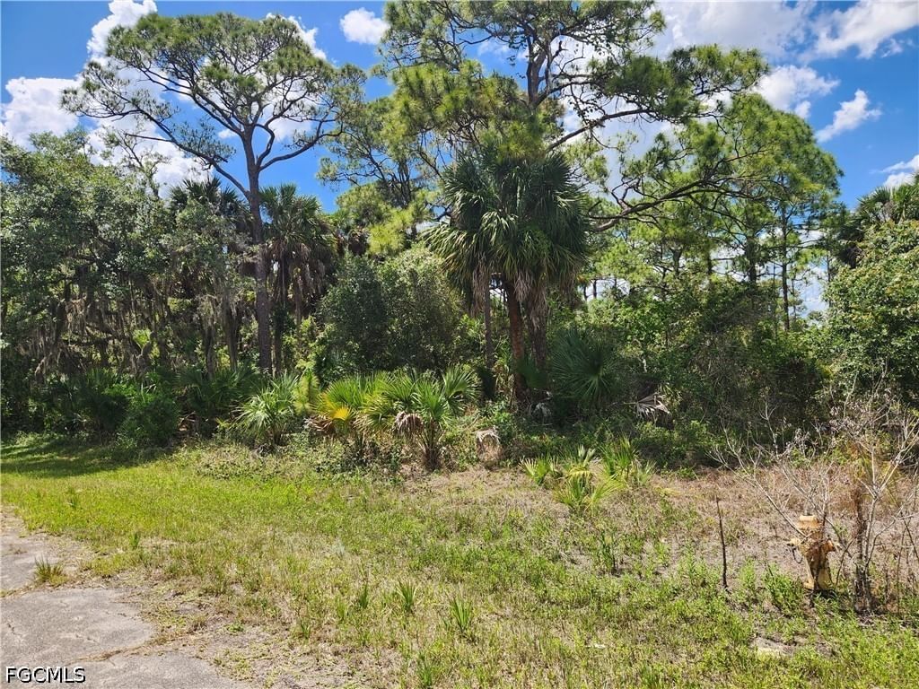 636 Nassau Circle, Labelle, FL 33935 photo 3