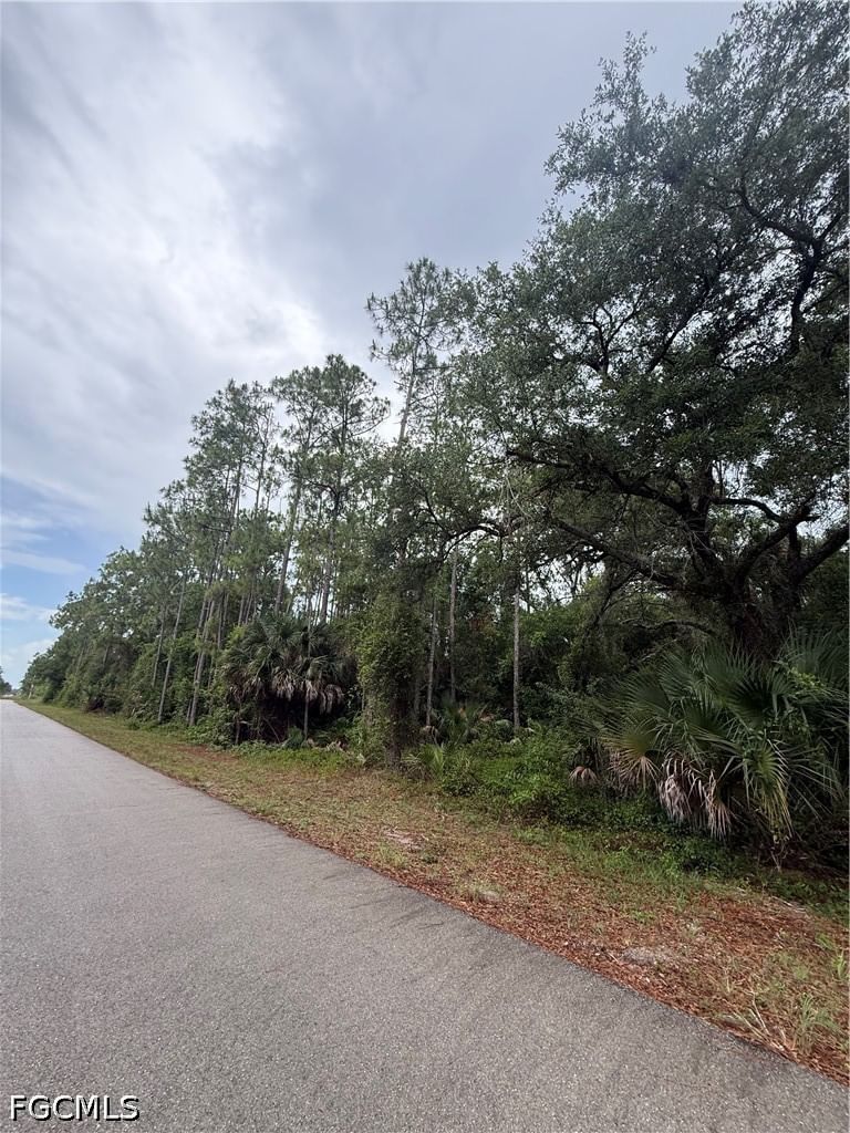 1659 Lake Avenue, Lehigh Acres, FL 33972 photo 2