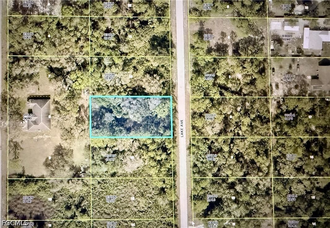 1659 Lake Avenue, Lehigh Acres, FL 33972 photo 4