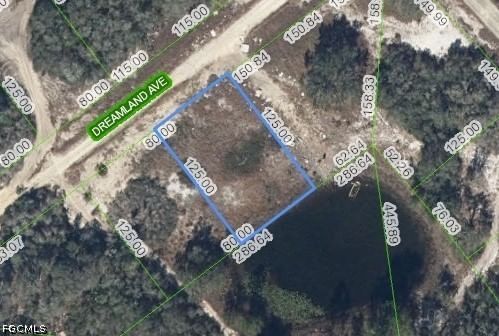 517 Dreamland Avenue, Lake Placid, FL 33852 photo 2