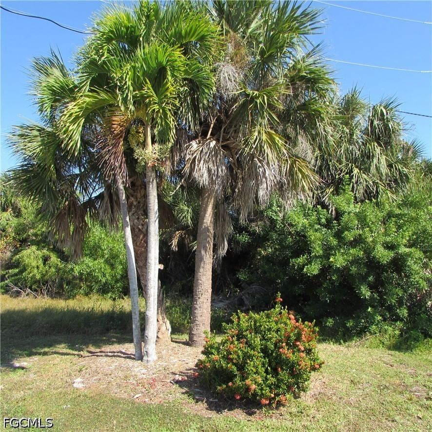 4026 Stringfellow Road, St James City, FL 33956 photo 5