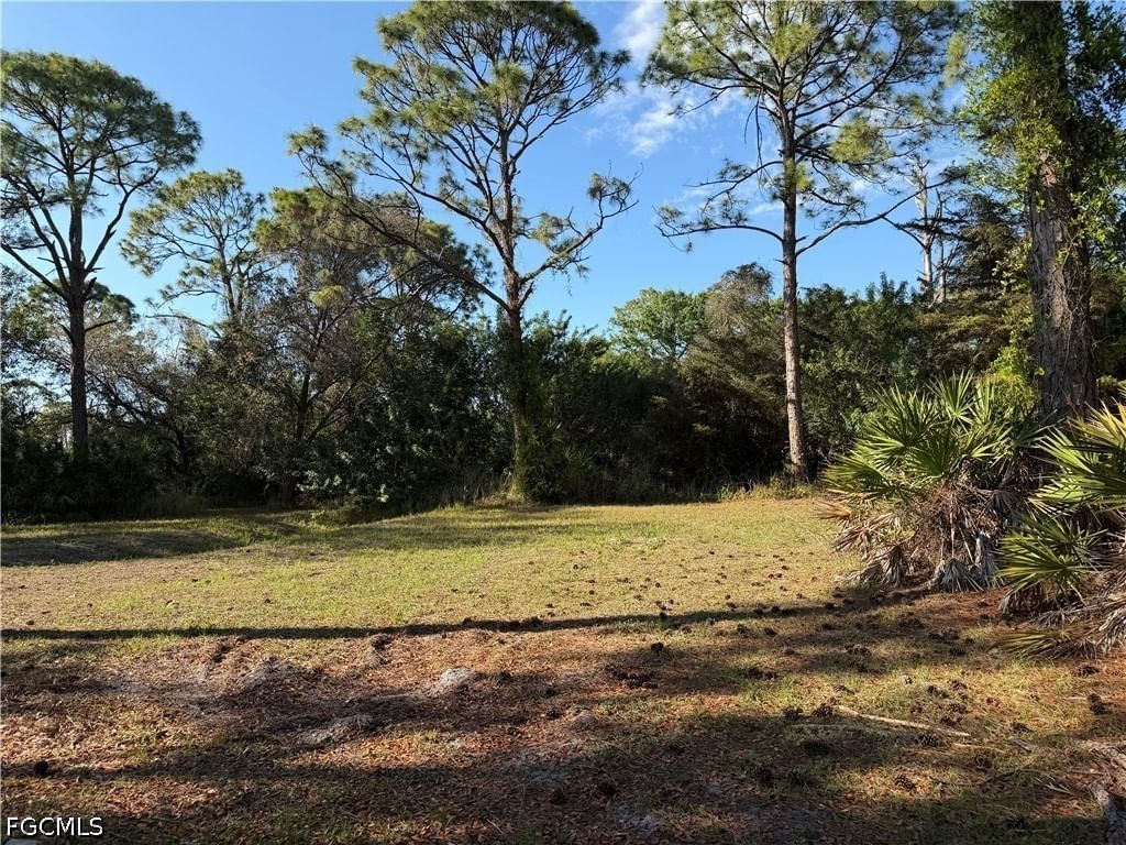 17090 shady grove ln LN, Cape Coral, FL 33909 photo 3