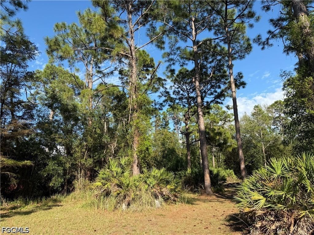 17090 shady grove ln LN, Cape Coral, FL 33909 photo 4