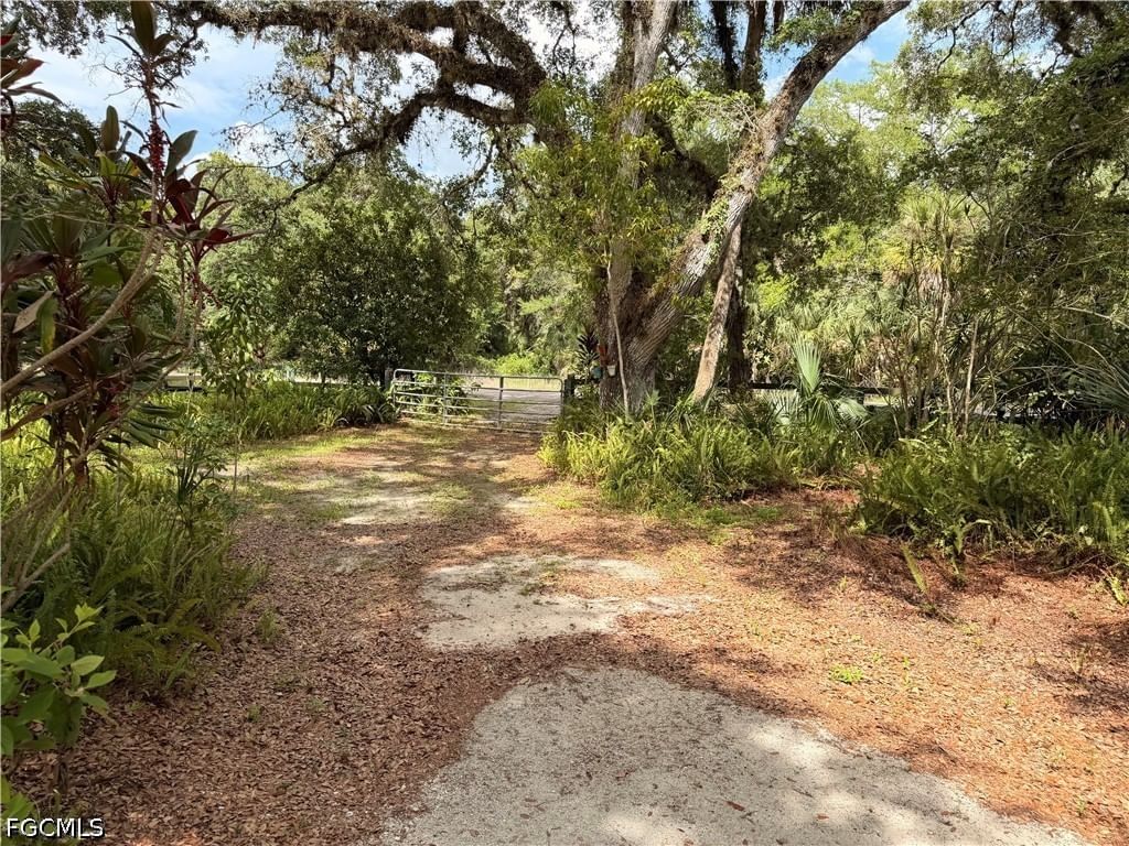 18251 Persimmon Ridge Road, Alva, FL 33920 photo 4